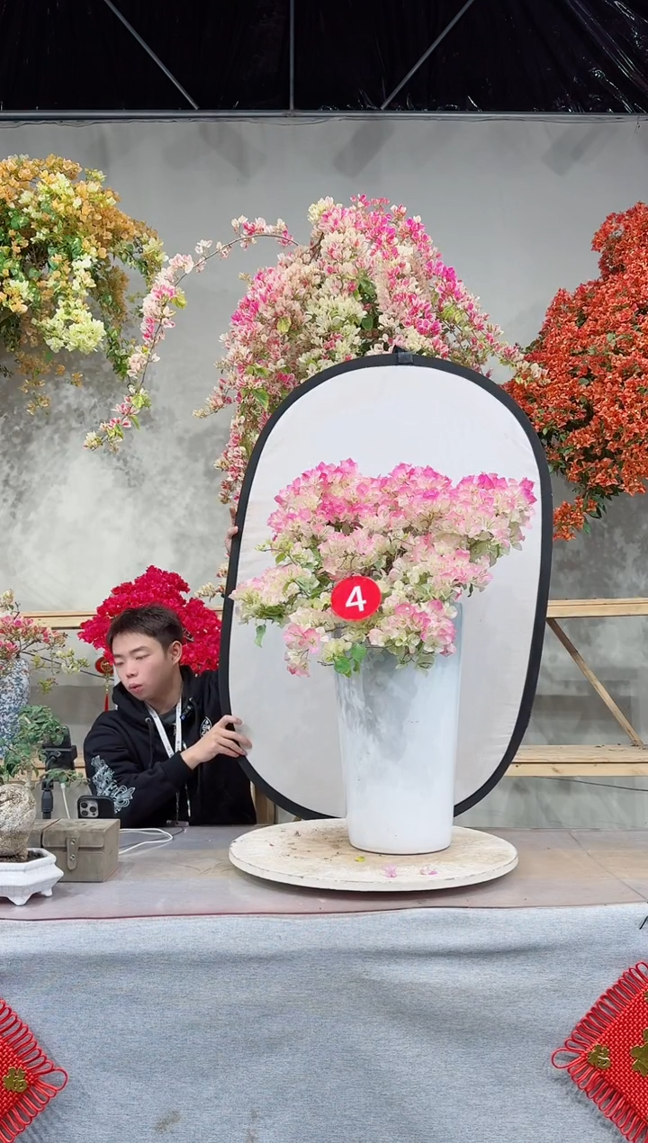 【闪购商品】盆景绿叶樱花