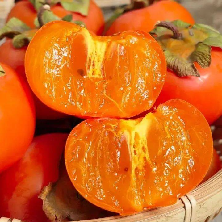 【放软食用】山西软柿子纯甜不涩口七月黄流心柿子新鲜采摘火晶柿子