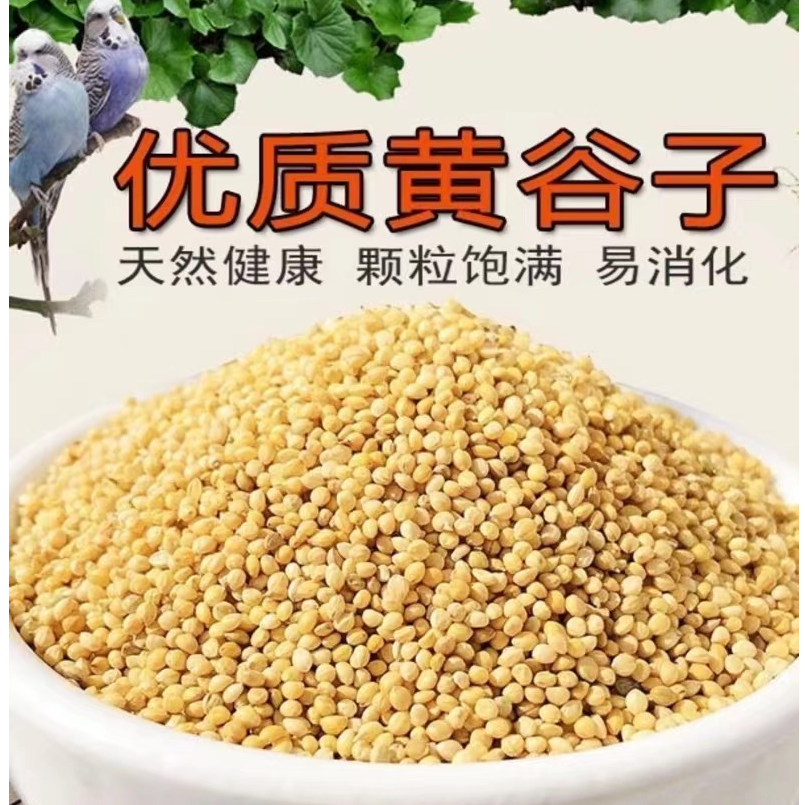 鹦鹉粮食黄谷子营养喂鸡宠物颗粒云斑鹦鹉专用粮养鸡鹦鹉活宠