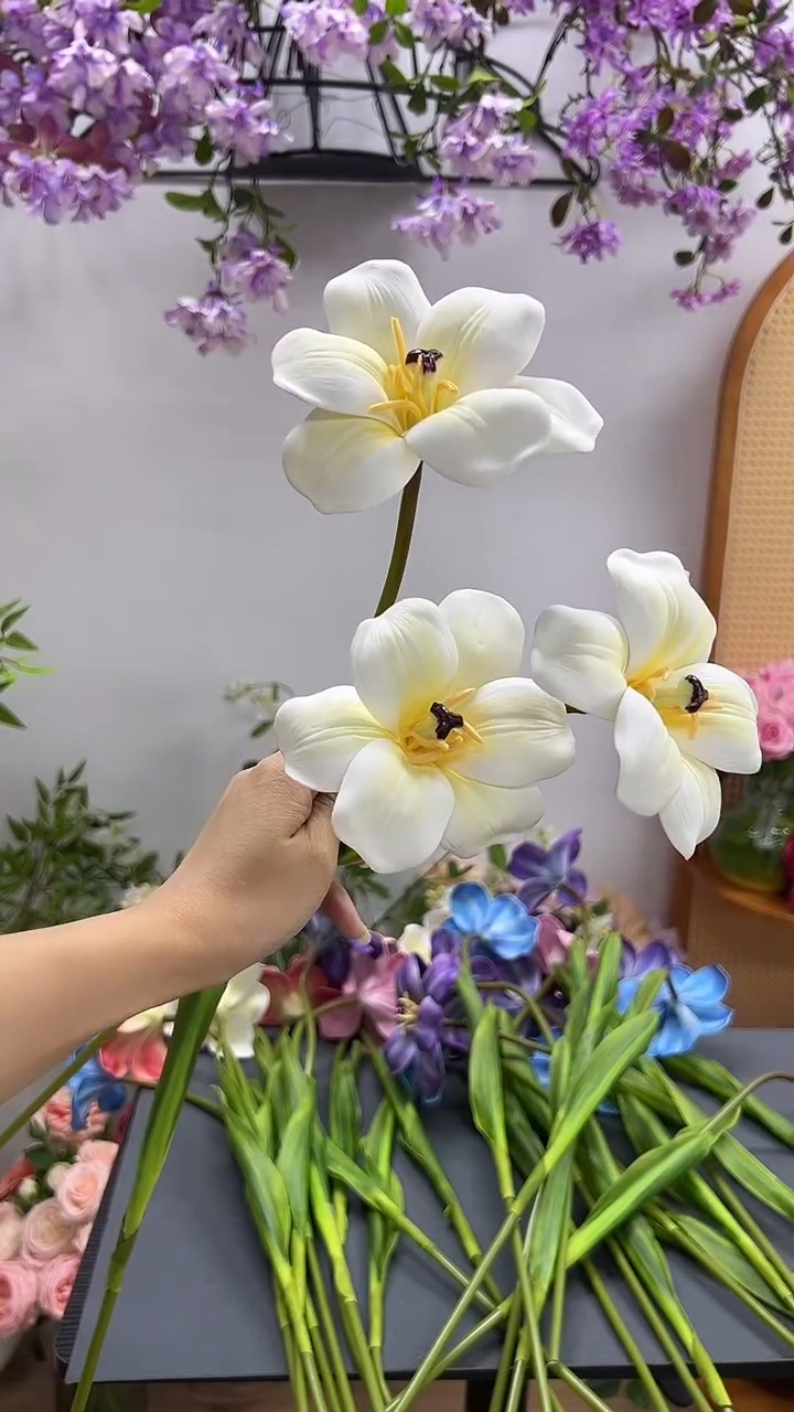 3枝白色布朗尼郁金香