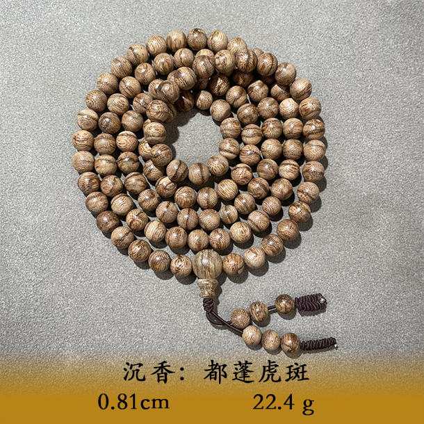 LSEES天然野都蓬虎斑B027