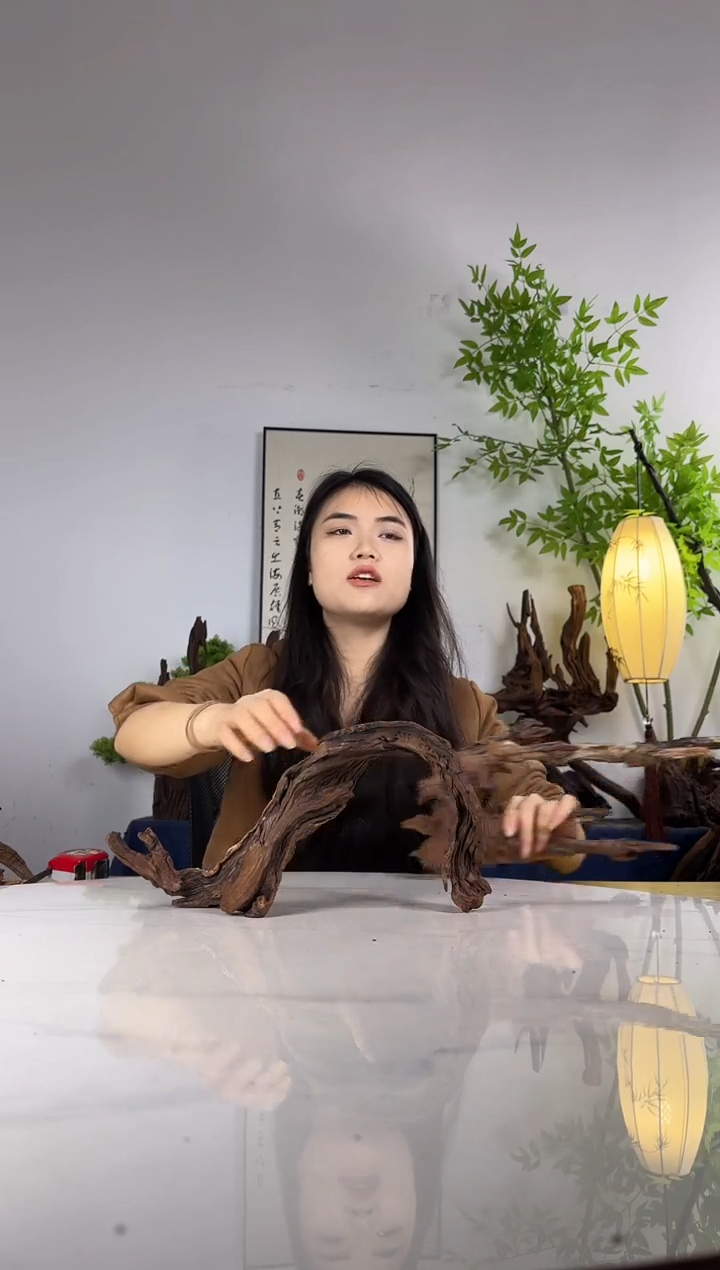 双**摊拍沉木定向链接编号51