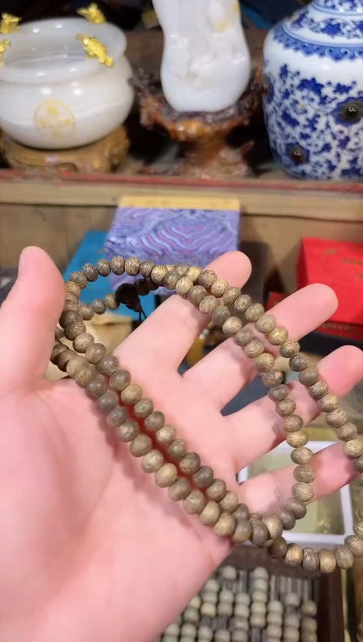 黄杨木1111111111111111