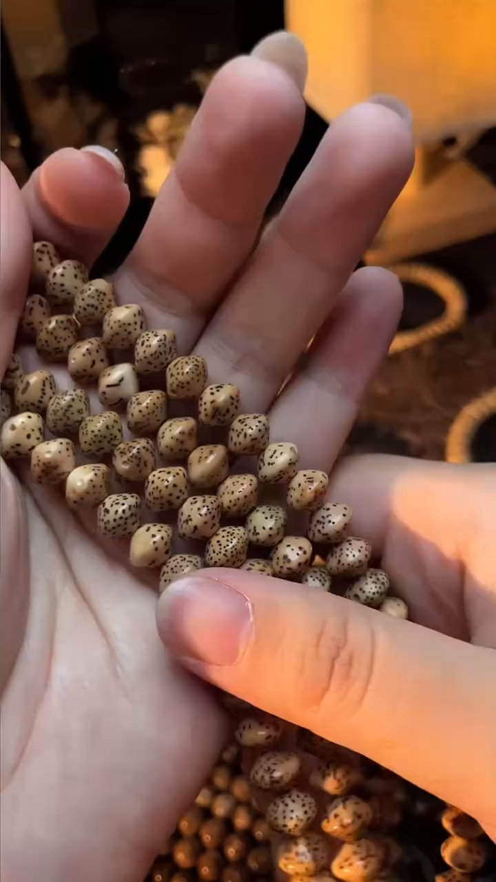 吊坠星月菩提精工级陈籽飞碟长串（B）