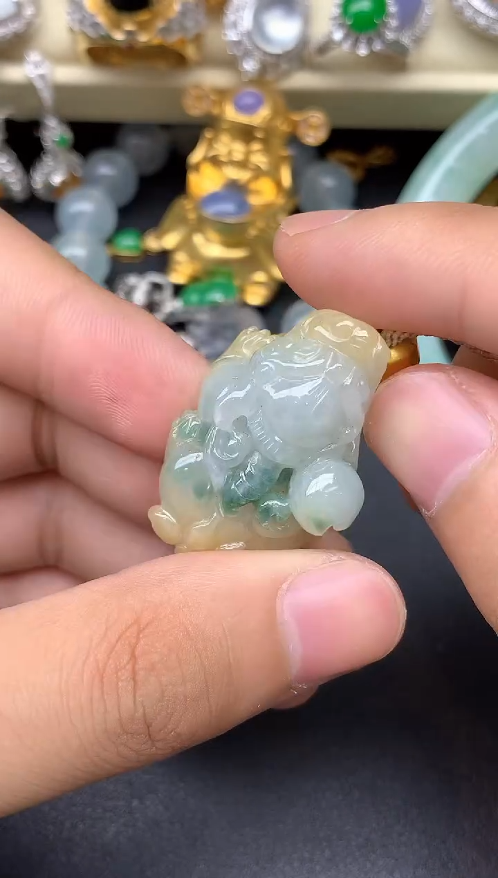 颈饰未镶嵌翡翠24-雪姐翡翠天天见