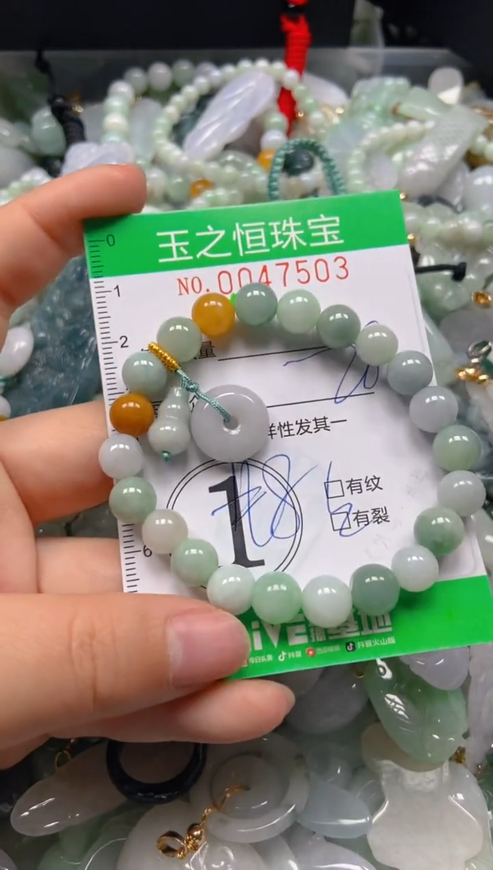 【闪购商品】翡翠颈饰未镶嵌闪购0047503