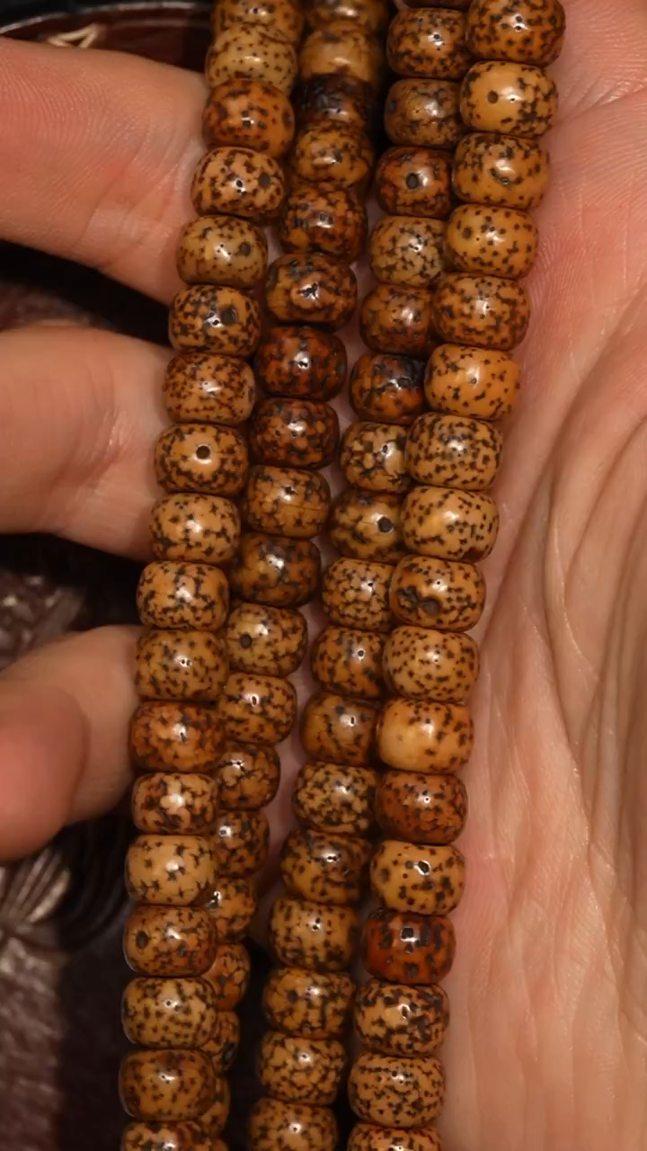 冲赛康胡子哥，藏传念珠243