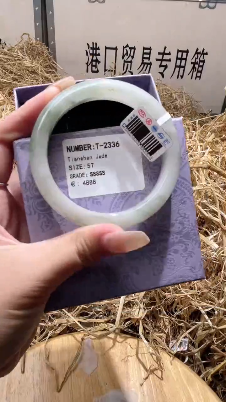 未镶嵌手镯石英质玉T2336Z