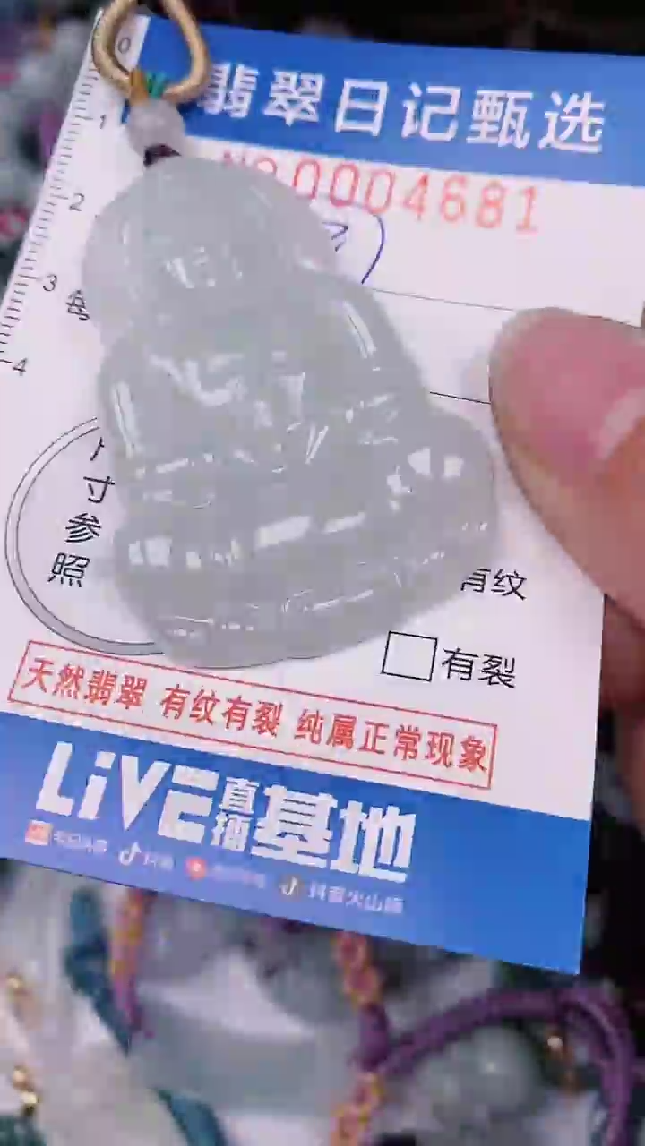 【闪购商品】翡翠颈饰未镶嵌00004681