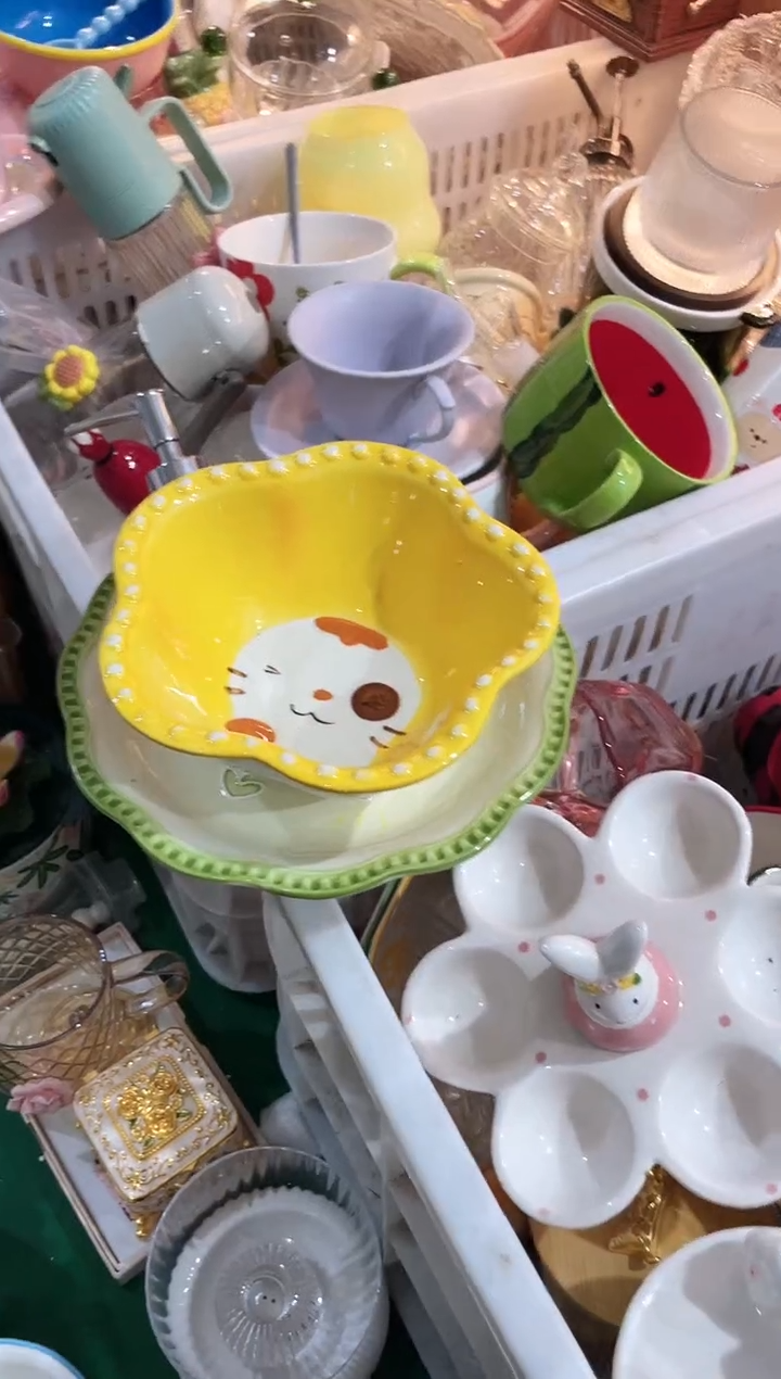 其他猫咪大汤碗，开播福利，拼手速