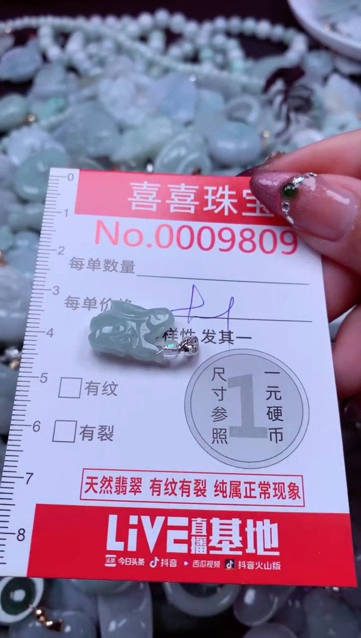 颈饰未镶嵌翡翠9809