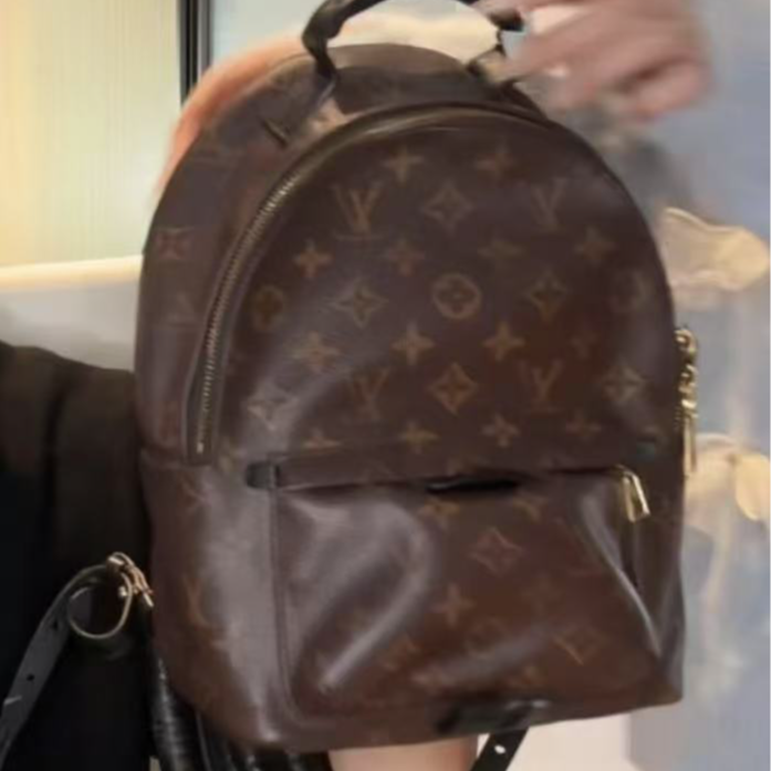 95新 LV 伦老板/95新/LV双肩包