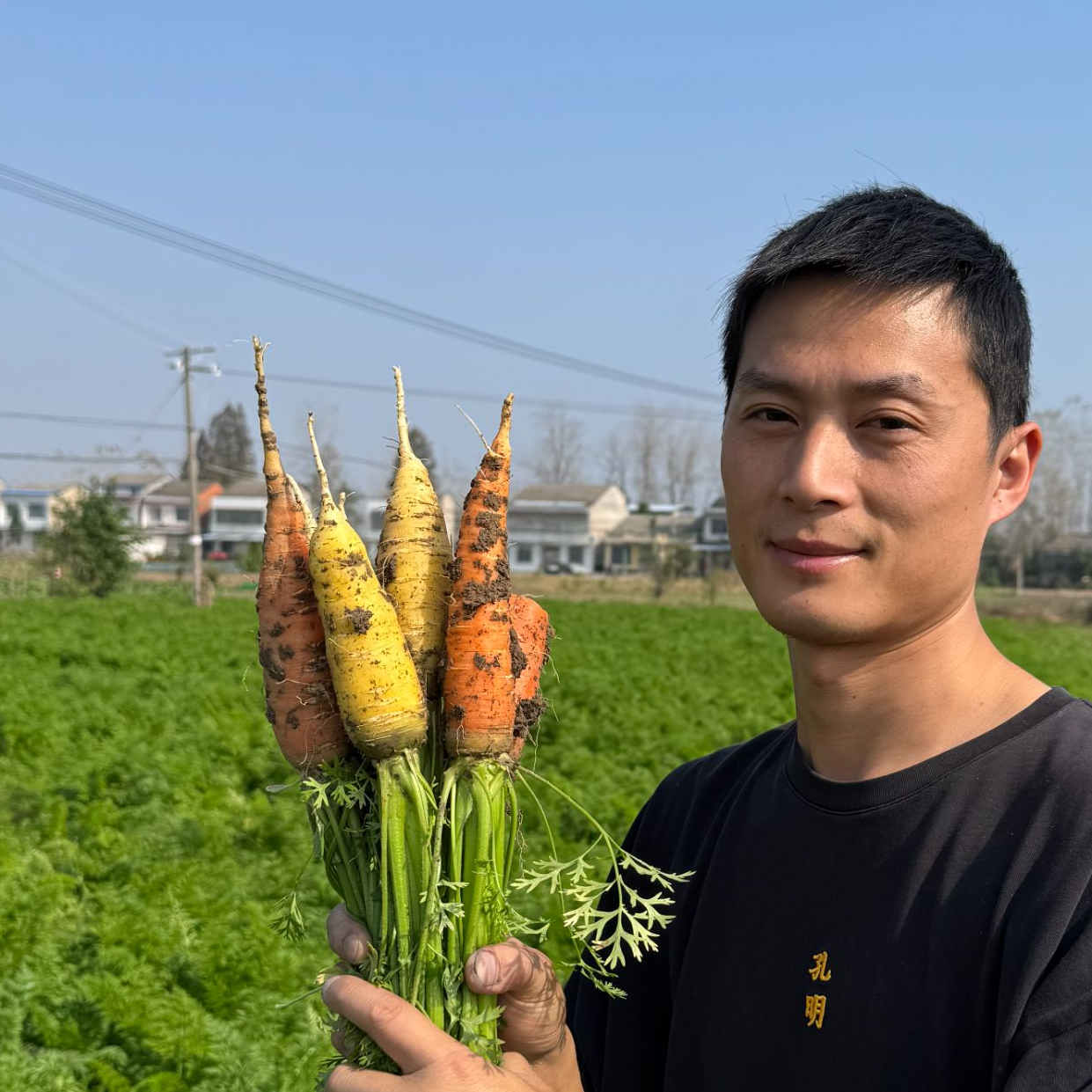 【顺丰包邮】农家自种胡萝卜3斤5斤包邮