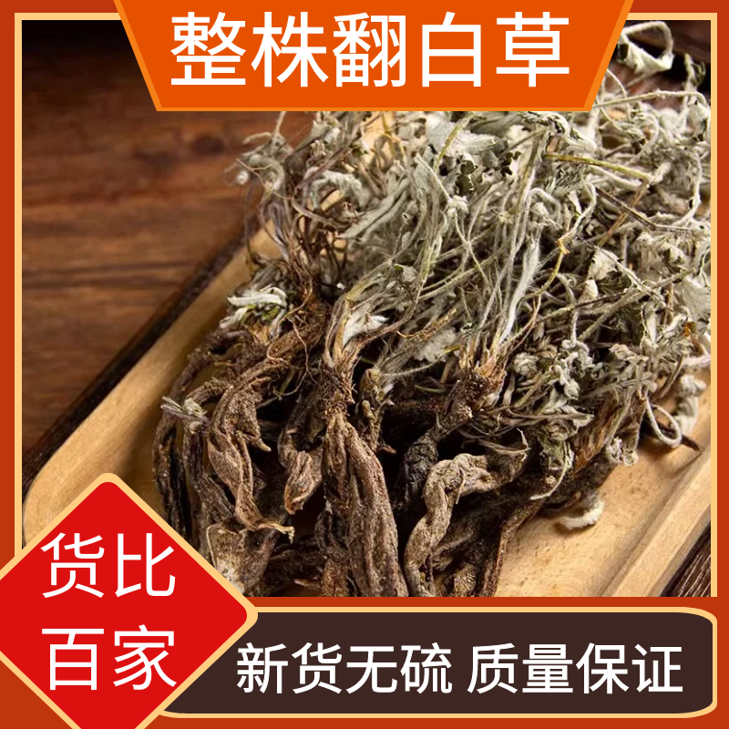 野生翻白草整株带根新货泛白草番白草泡水翻白草叶菜250-500g包邮