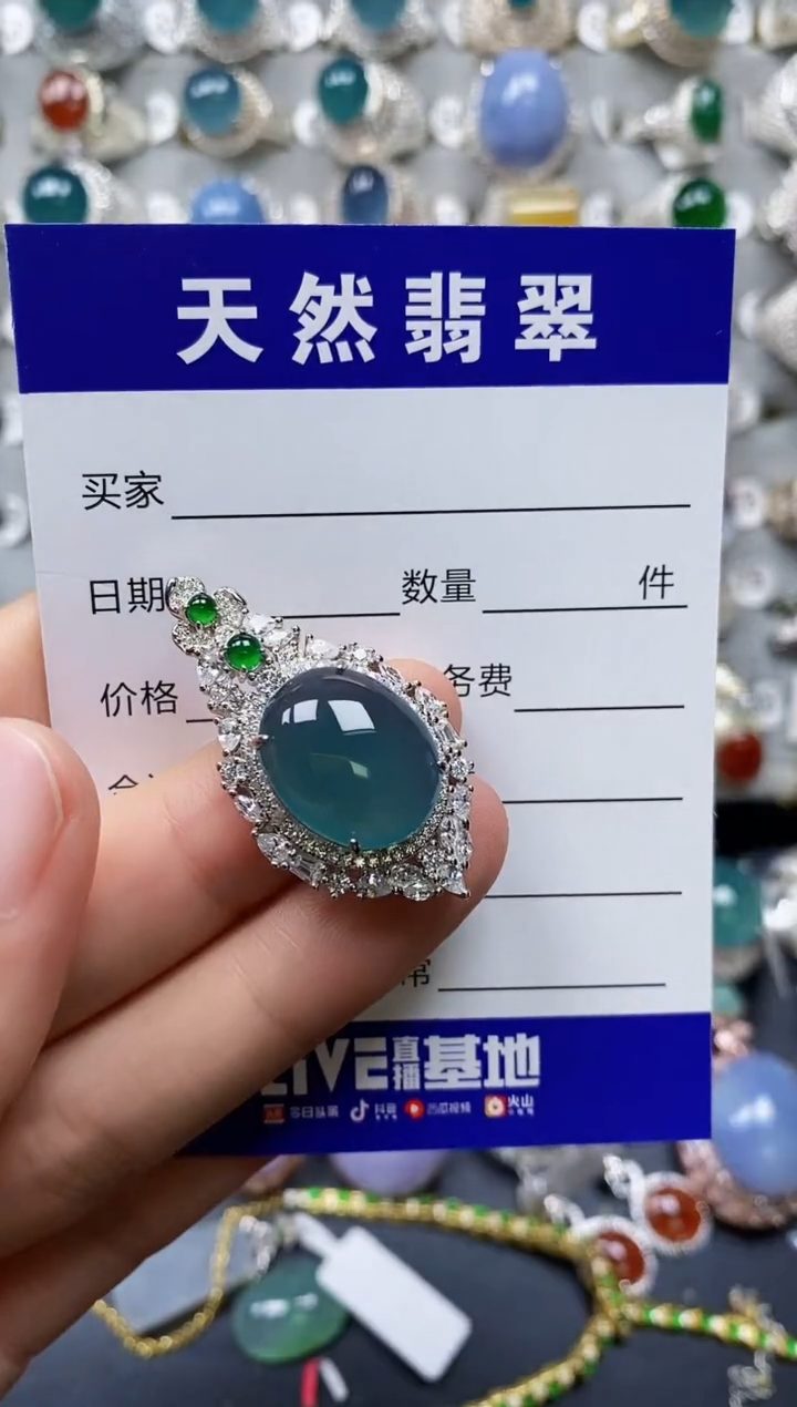 【闪购商品】翡翠颈饰银S925镶嵌0084