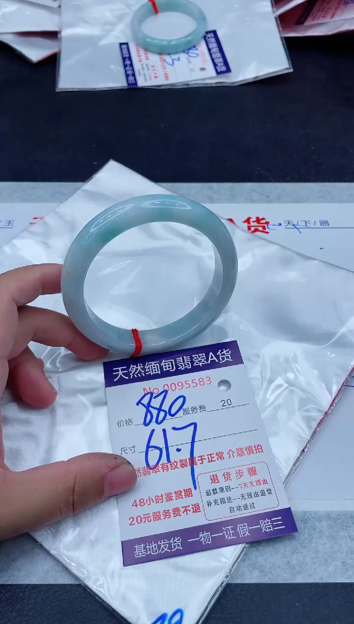 未镶嵌手镯翡翠880.00000