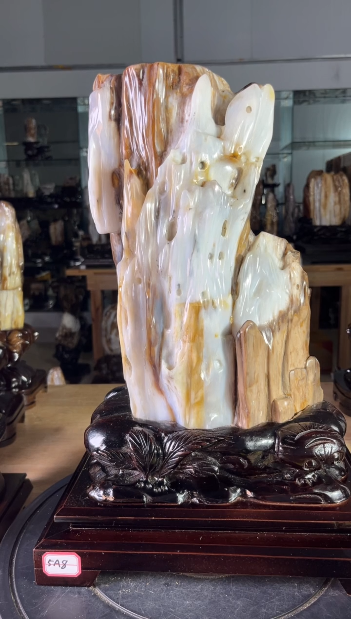 【闪购商品】硅化玉珠宝奇石未镶嵌1