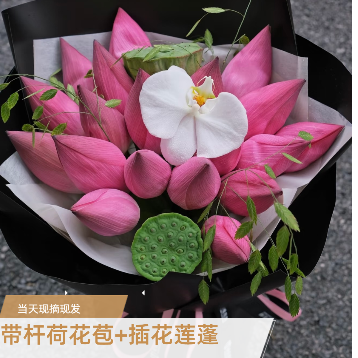 【顺丰包邮】新鲜采摘荷花观赏莲花插花莲蓬 花苞带杆莲蓬 冷链发货