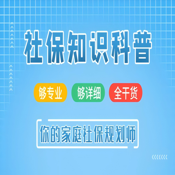 ②社保知识一对一方案指导