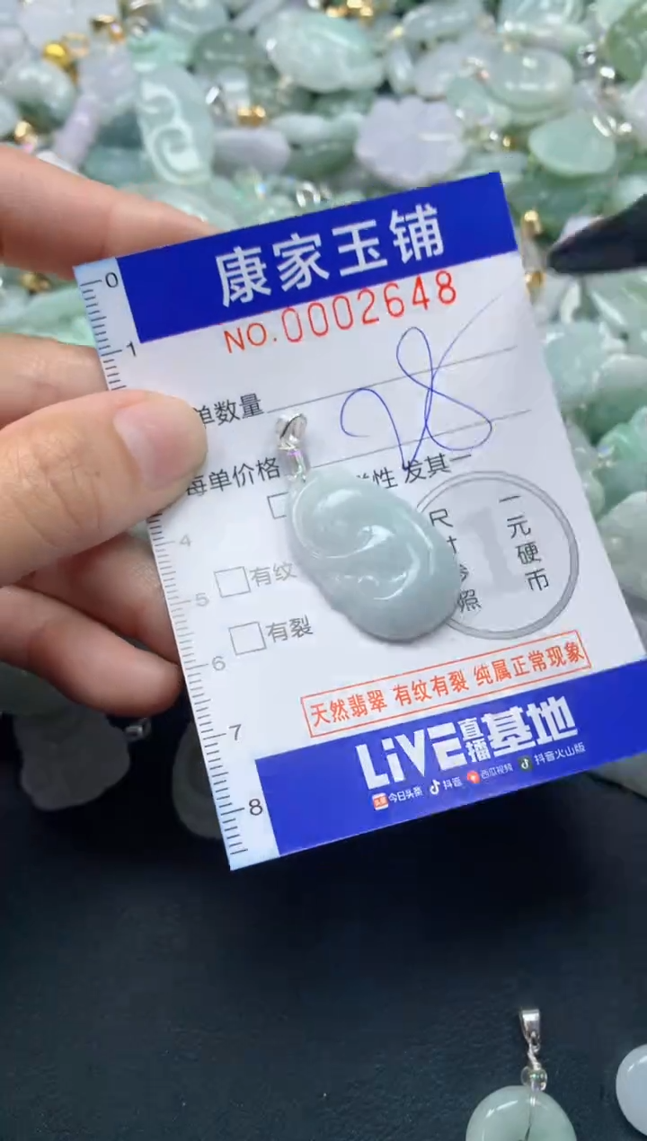 颈饰未镶嵌翡翠2648