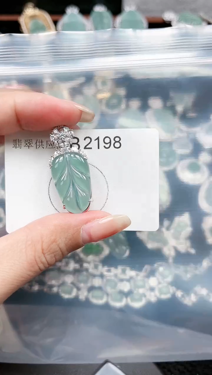 【闪购商品】翡翠颈饰未镶嵌赠皮绳2198
