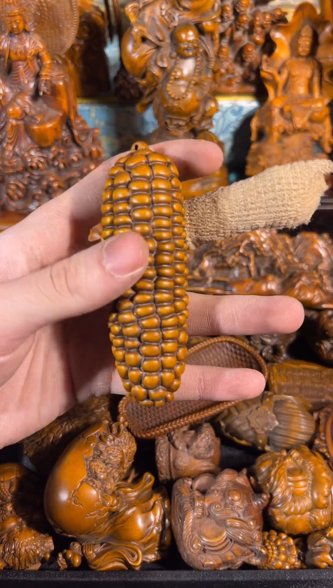 黄杨木11111111111111