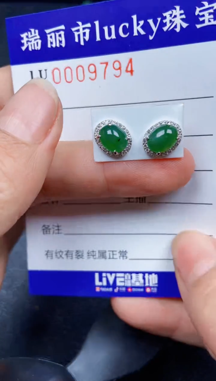 【闪购商品】翡翠颈饰银S925镶嵌9794