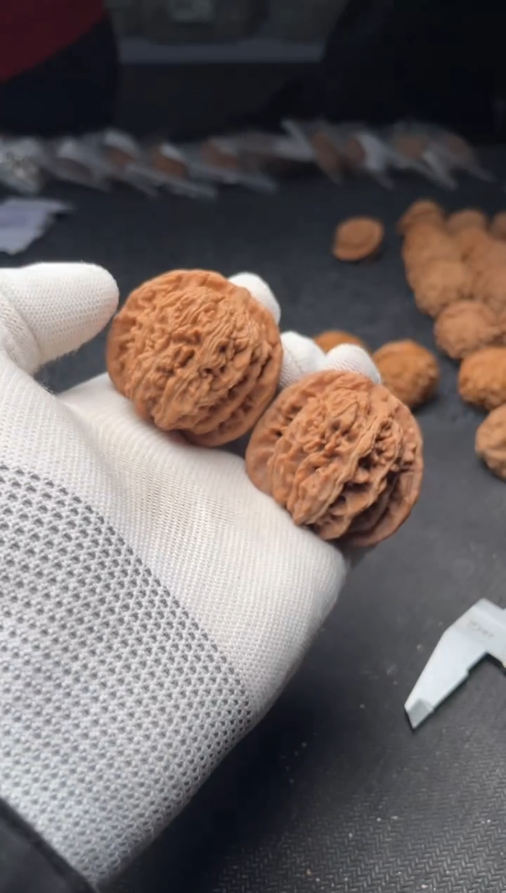 核桃a179    楼子 44尺