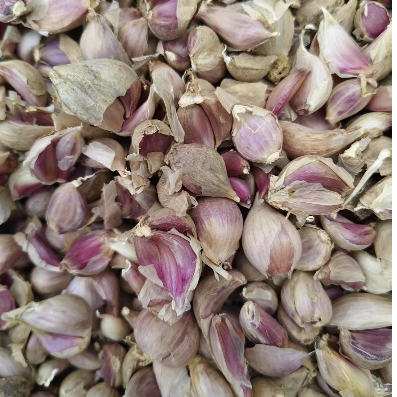 恩施高山农家鲜小米蒜  农家自种绿色健康 恩施山妹代购农产品 