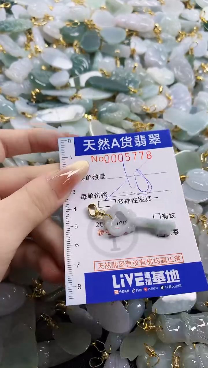 颈饰未镶嵌翡翠天然A货翡翠