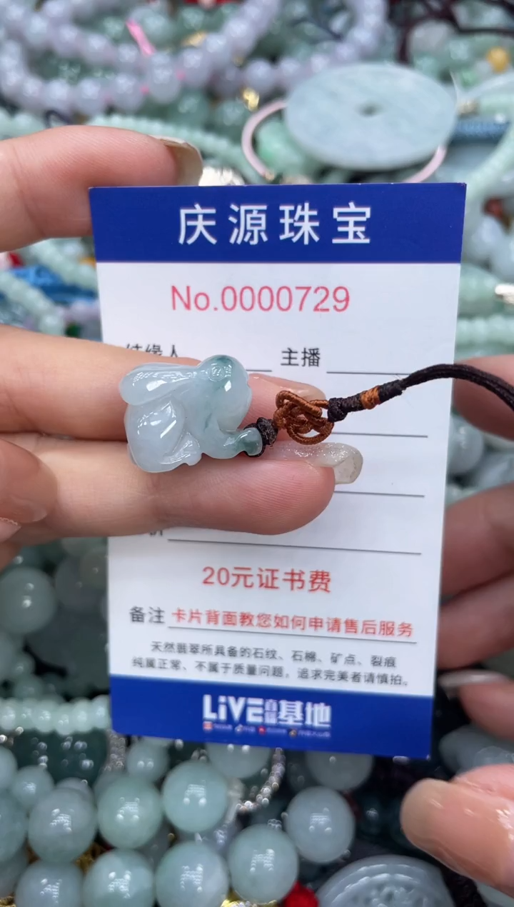 翡翠未镶嵌颈饰335