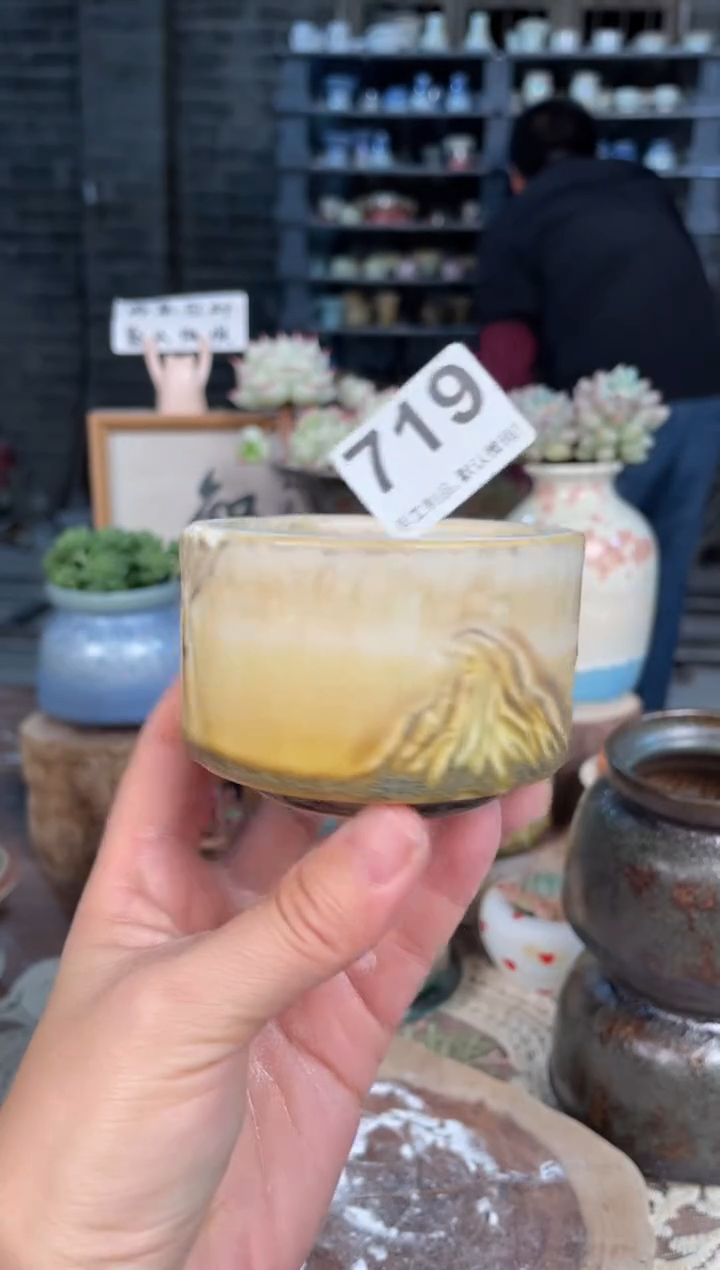 瓷片719知木小芳花盆直播编号