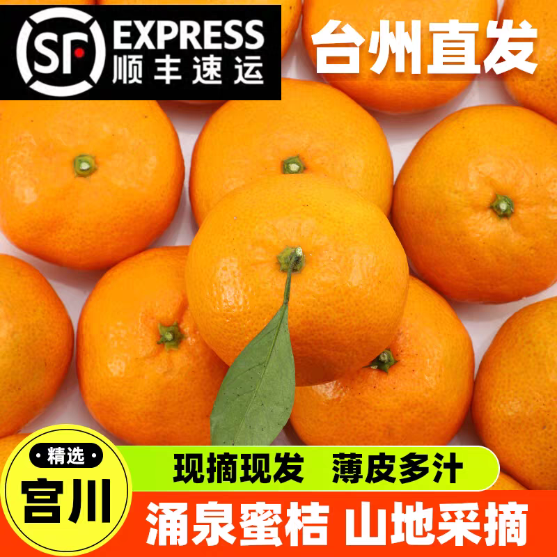 湖南石门早熟蜜桔清甜多汁果园现摘现发新鲜水果
