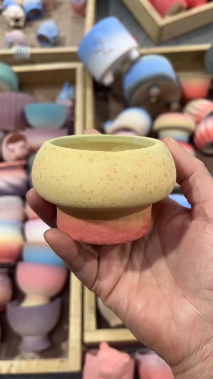 【闪购商品】红陶5*6