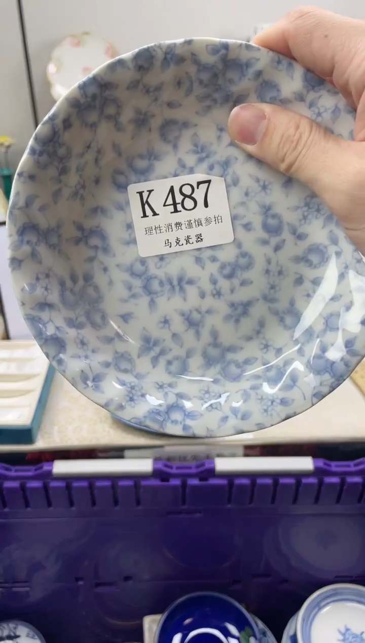 瓷片邂*?                K487