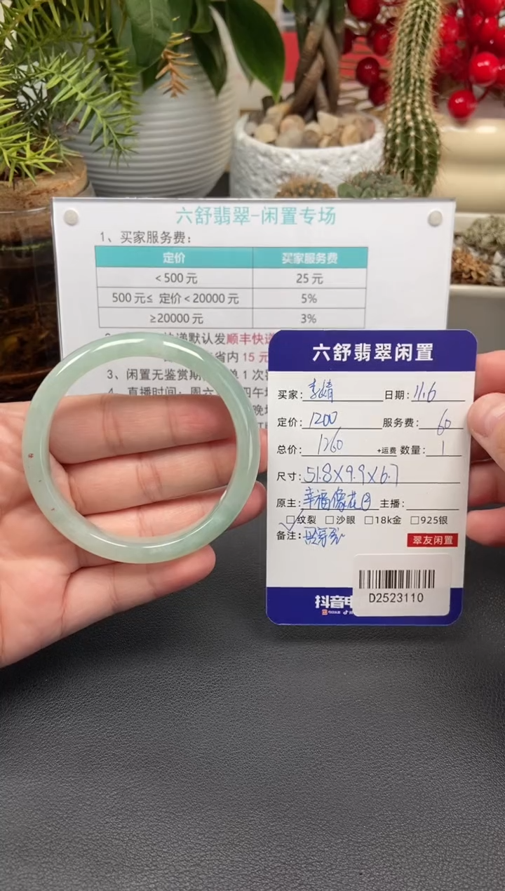 未镶嵌手镯翡翠李*D2523110