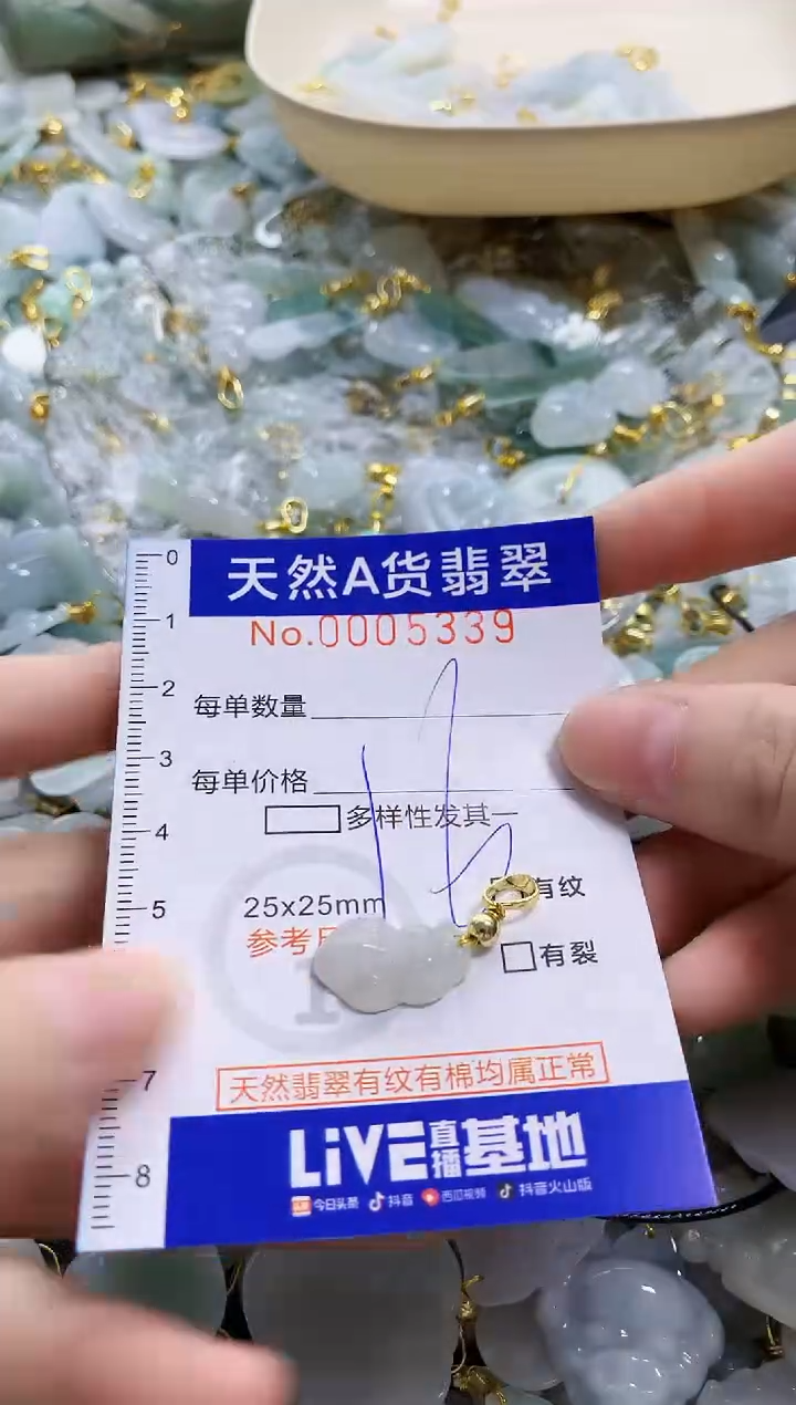 颈饰未镶嵌翡翠天然A货翡翠