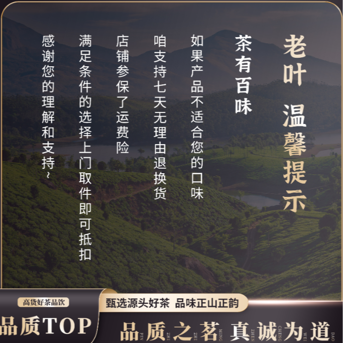 【新会霞姐】陈皮丸零食