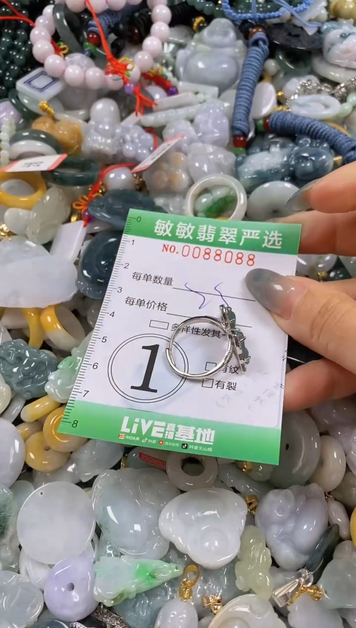 【闪购商品】翡翠颈饰未镶嵌闪购0088088