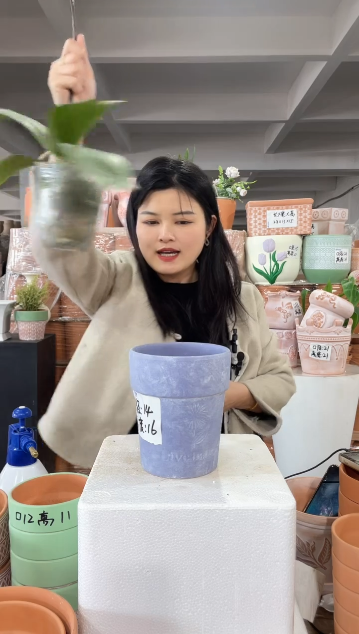 【闪购商品】红陶紫色向日葵14-16