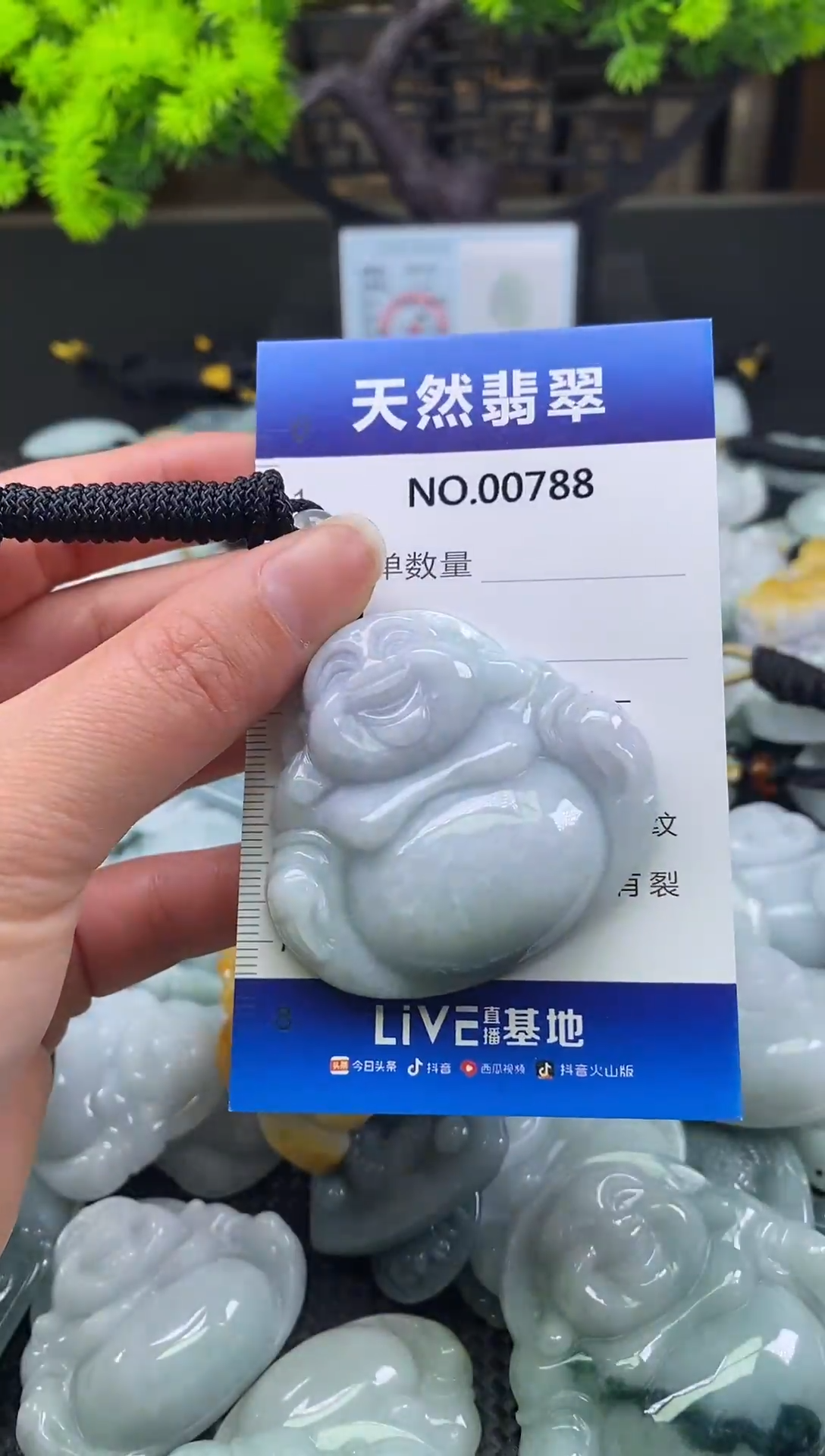 颈饰未镶嵌翡翠天然缅甸翡翠788