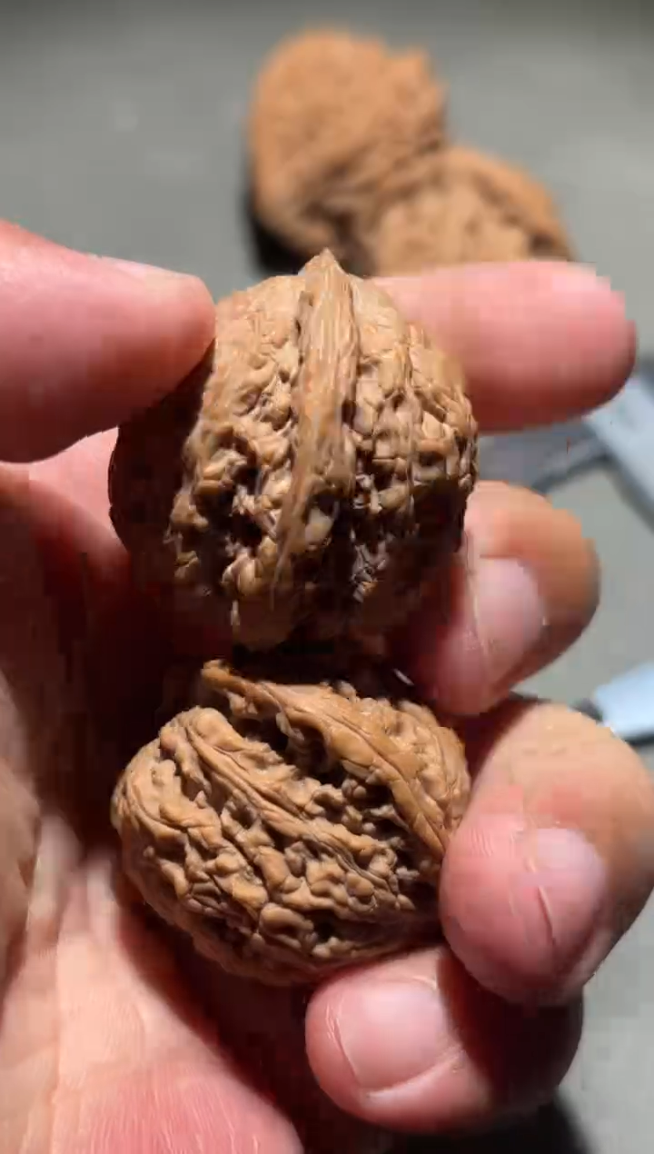 吊坠桃核A****你宽城