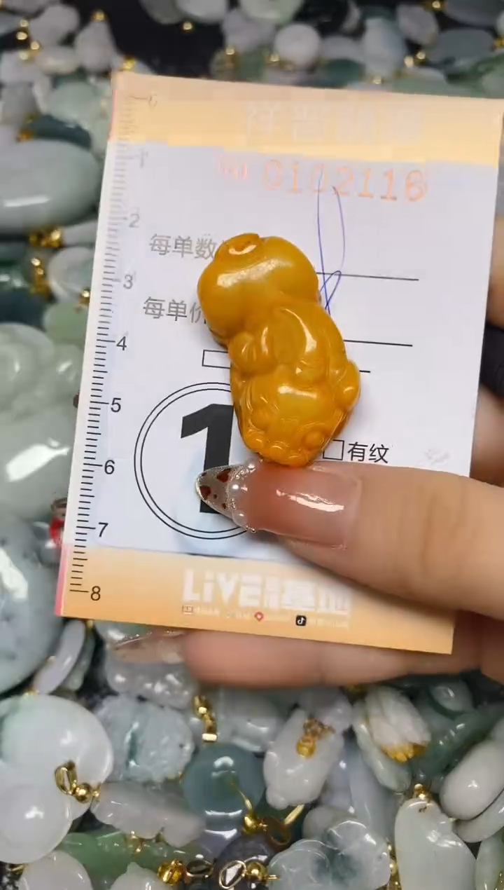 【闪购商品】翡翠颈饰未镶嵌闪购0102116