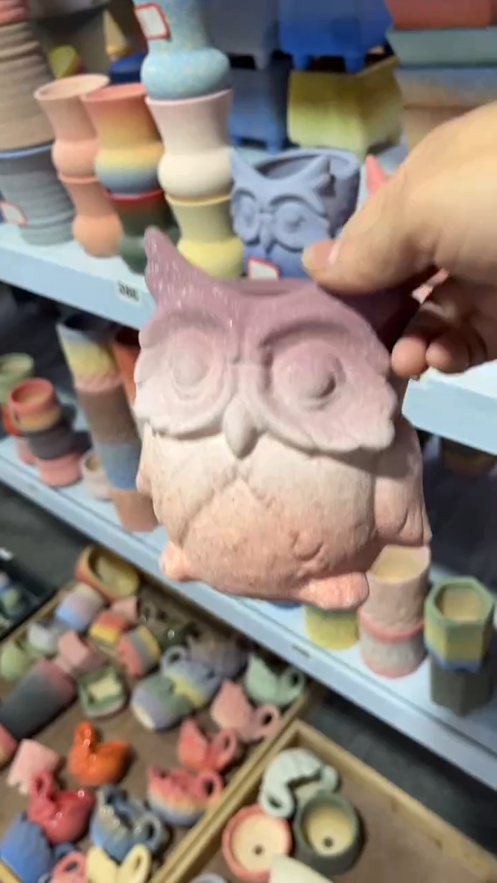 【闪购商品】红陶10*8