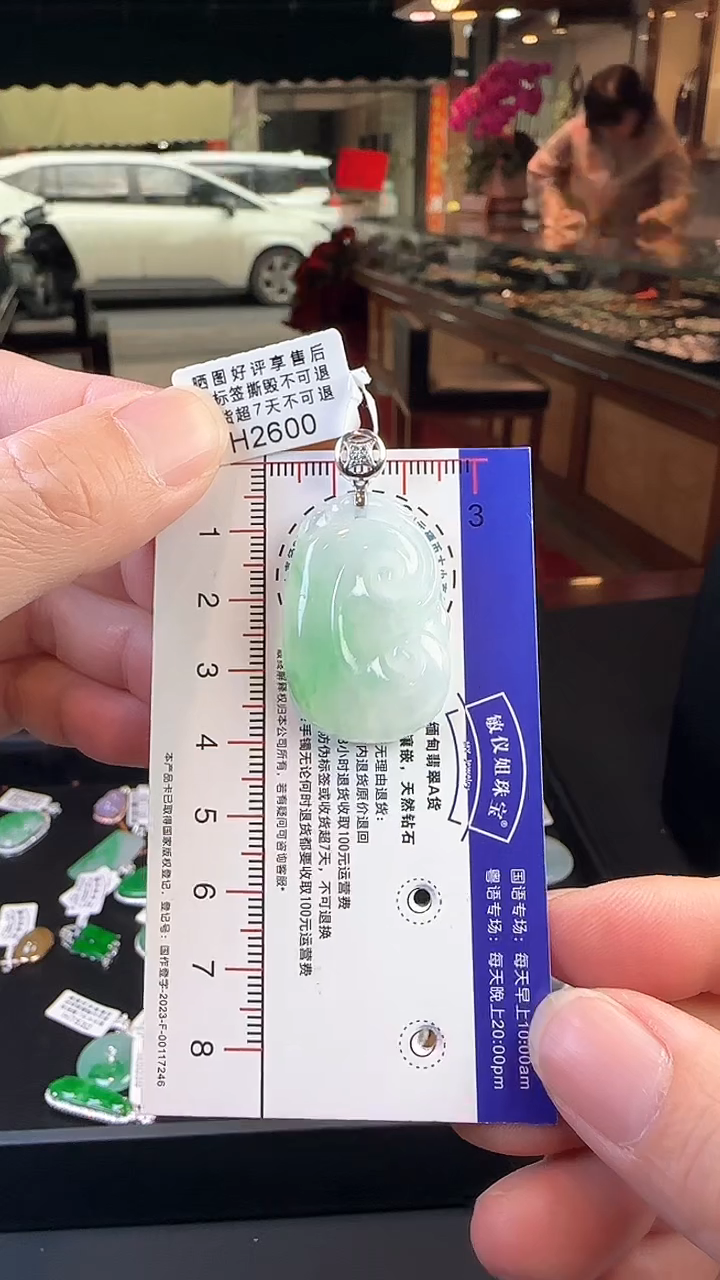 【闪购商品】翡翠颈饰18K金镶嵌H2600冰飘绿如意