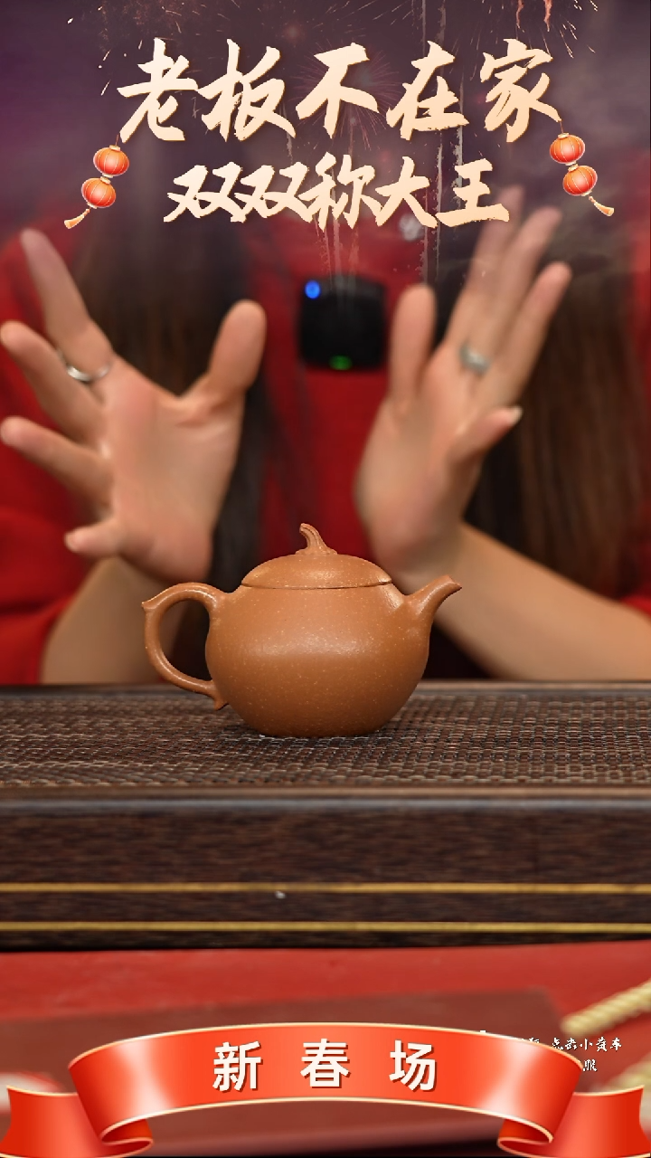 【闪购商品】紫砂茶壶冠砂茶器16