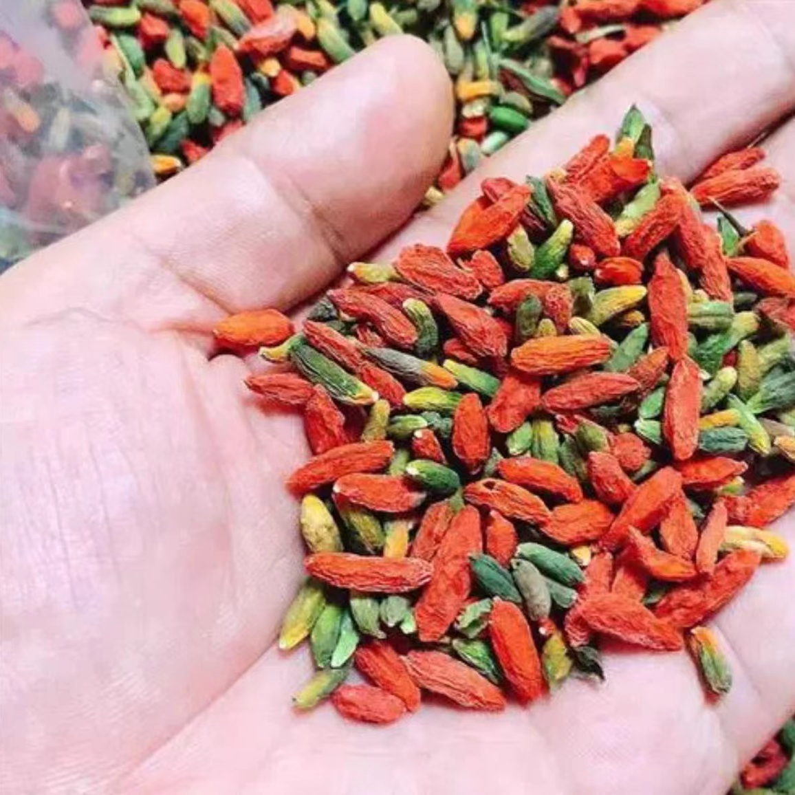  七彩枸杞  农家土特产