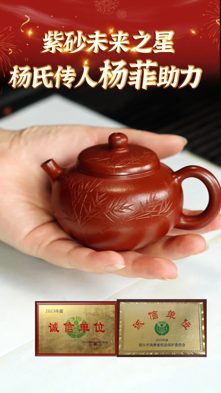 【闪购商品】紫砂茶壶79杨菲老师专场  杨氏朱泥
