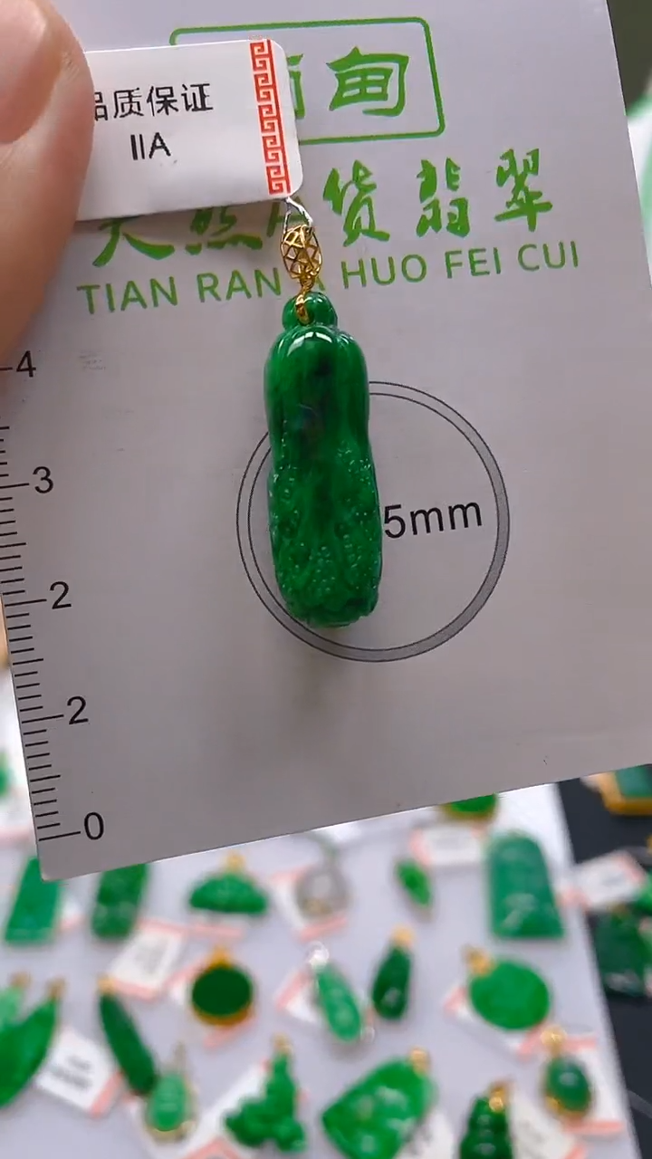 【闪购商品】翡翠颈饰18K金镶嵌 新号开播，全场乱卖
