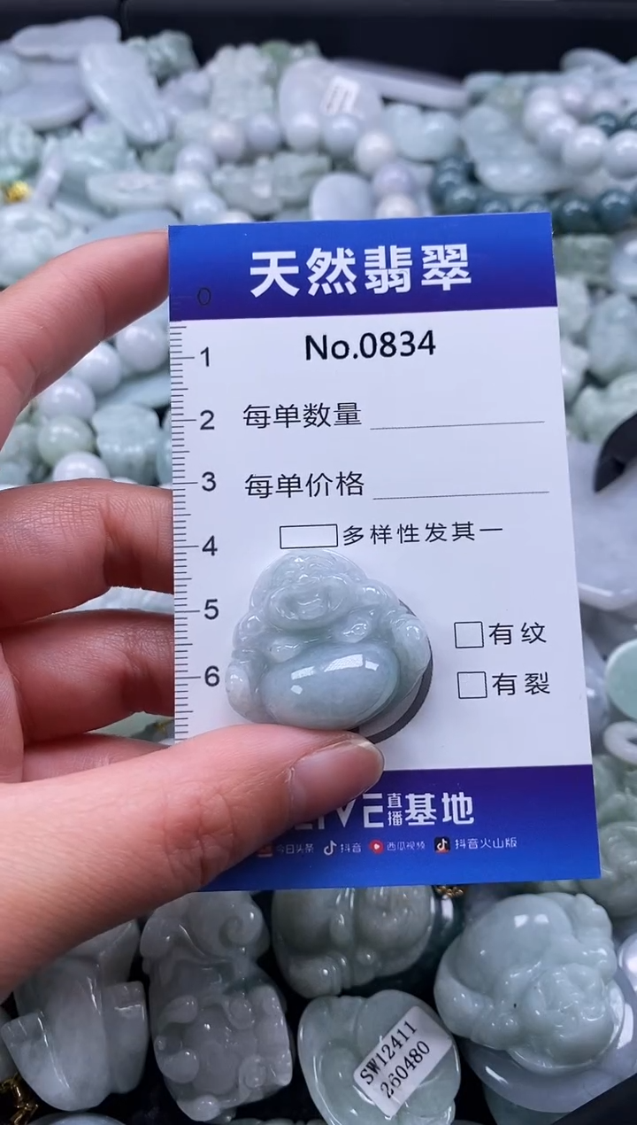 【闪购商品】翡翠颈饰未镶嵌缅甸A货翡翠0834